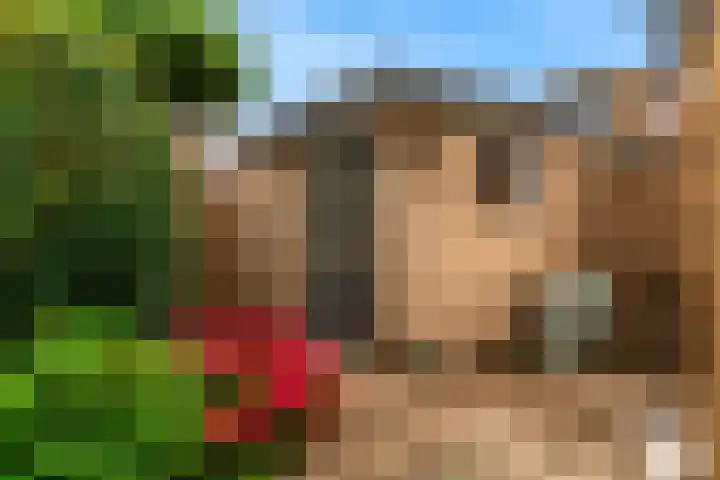 de Kapberg 17 Kamerik thumbnail 29