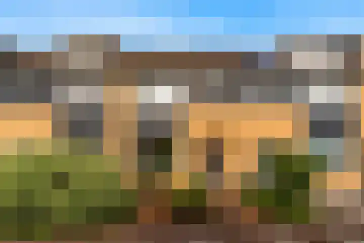 de Kapberg 17 Kamerik thumbnail 35