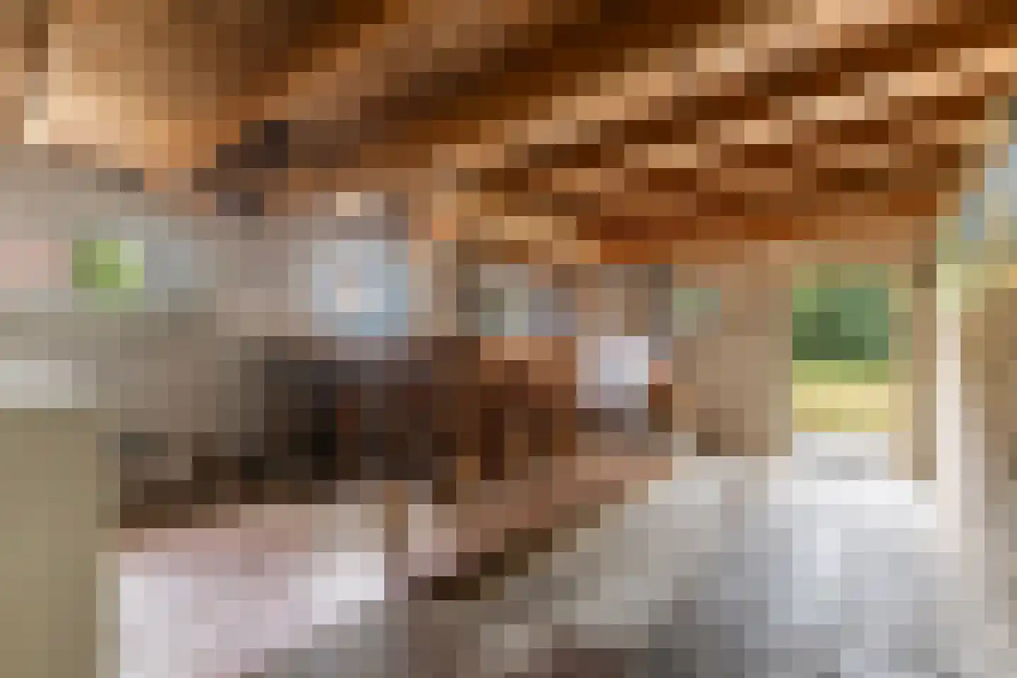 De Kapelle 14 Rinsumageast thumbnail 39