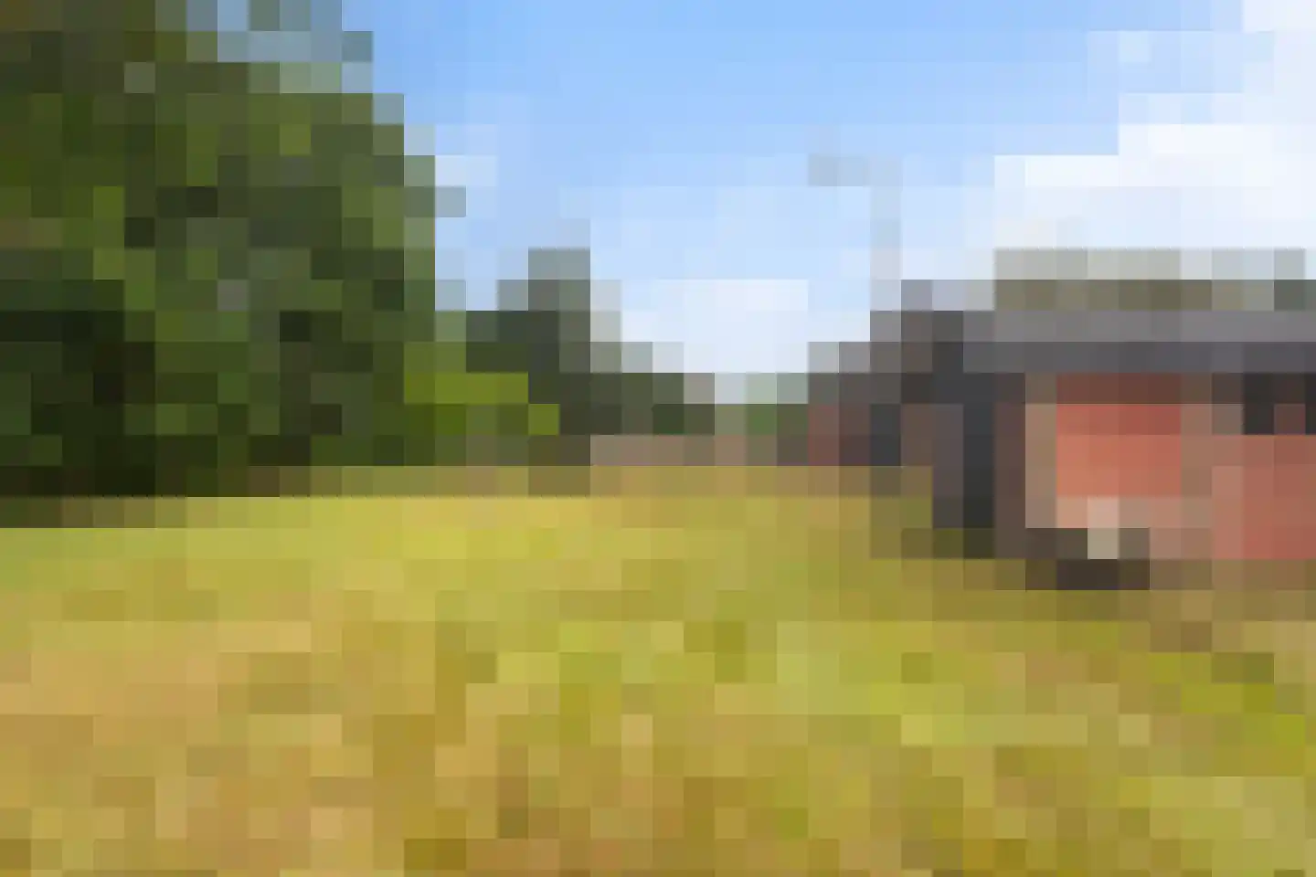 De Kapelle 14 Rinsumageast thumbnail 40