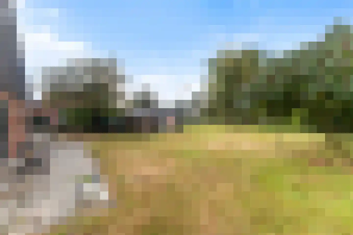 De Kapelle 14 Rinsumageast thumbnail 41