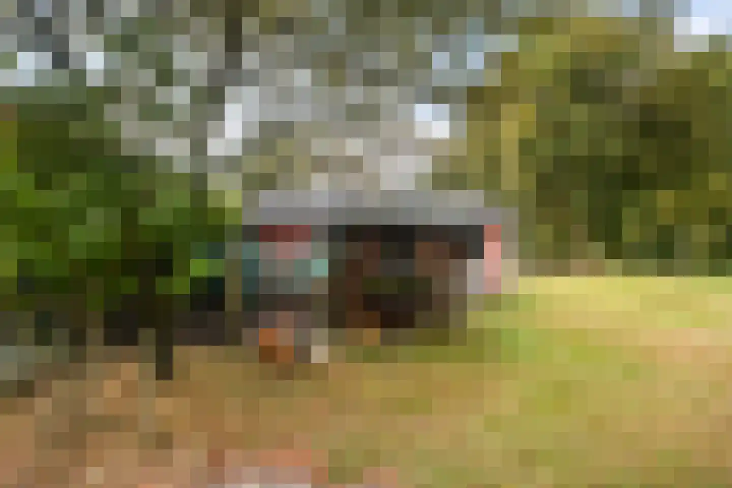 De Kapelle 14 Rinsumageast thumbnail 45