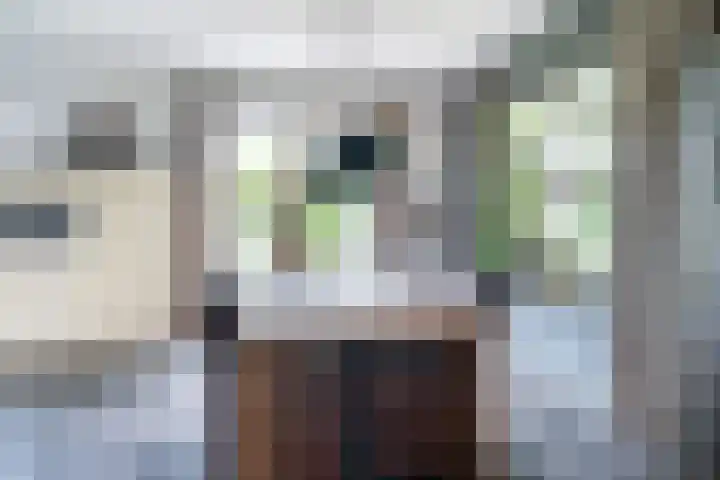 De Kapelle 19 Rinsumageast thumbnail 10