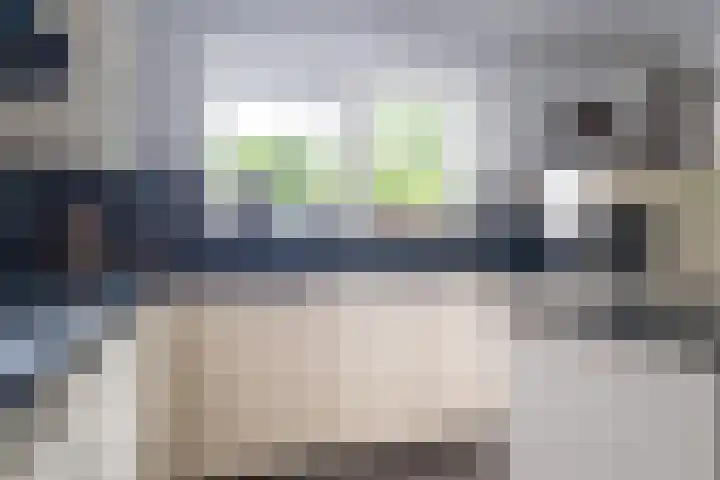 De Kapelle 19 Rinsumageast thumbnail 14