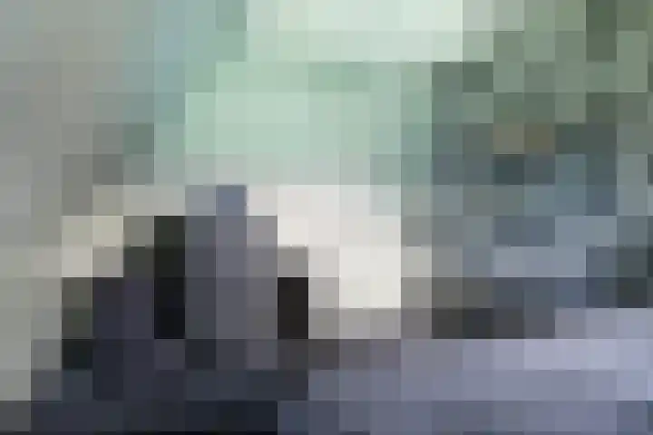 De Kapelle 19 Rinsumageast thumbnail 27