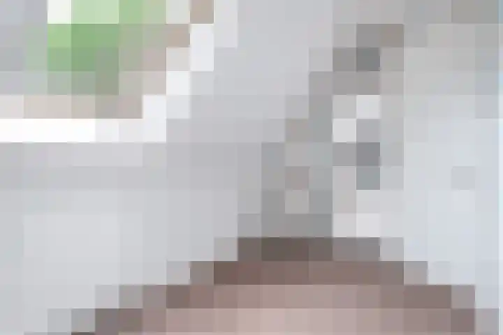 De Kapelle 19 Rinsumageast thumbnail 31