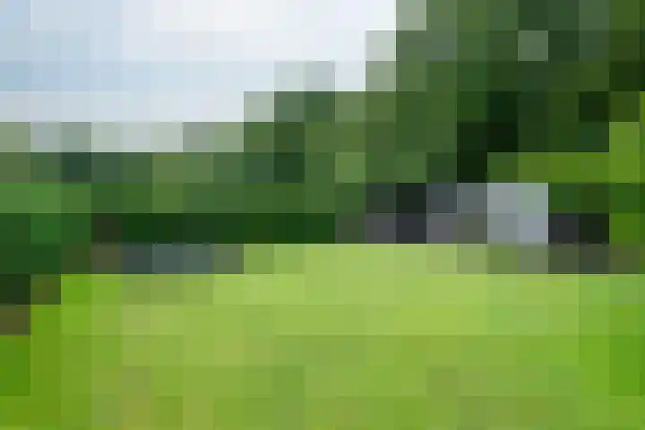 De Kapelle 19 Rinsumageast thumbnail 36