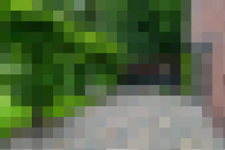 De Kapelle 19 Rinsumageast thumbnail 39