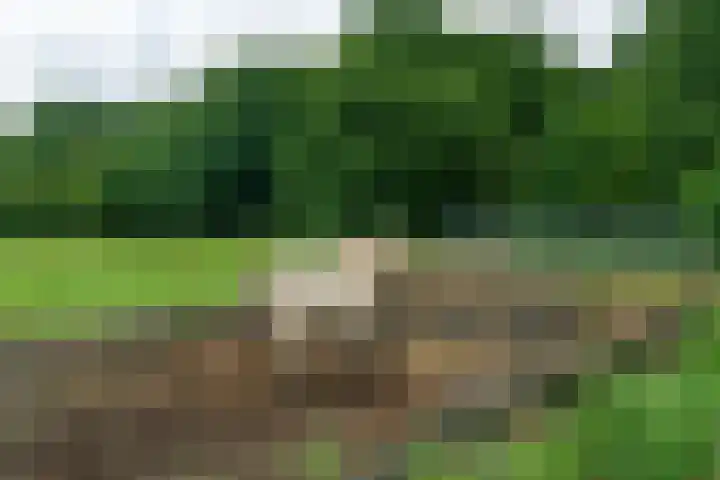 De Kapelle 19 Rinsumageast thumbnail 40