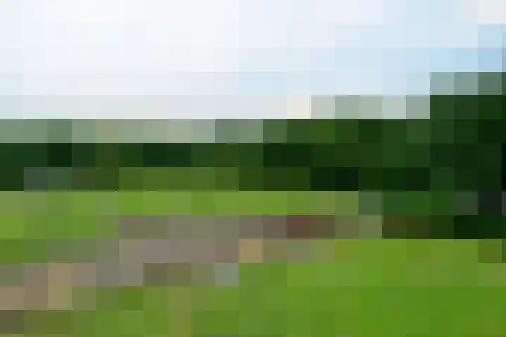 De Kapelle 19 Rinsumageast thumbnail 41