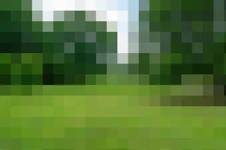 De Kapelle 19 Rinsumageast thumbnail 42