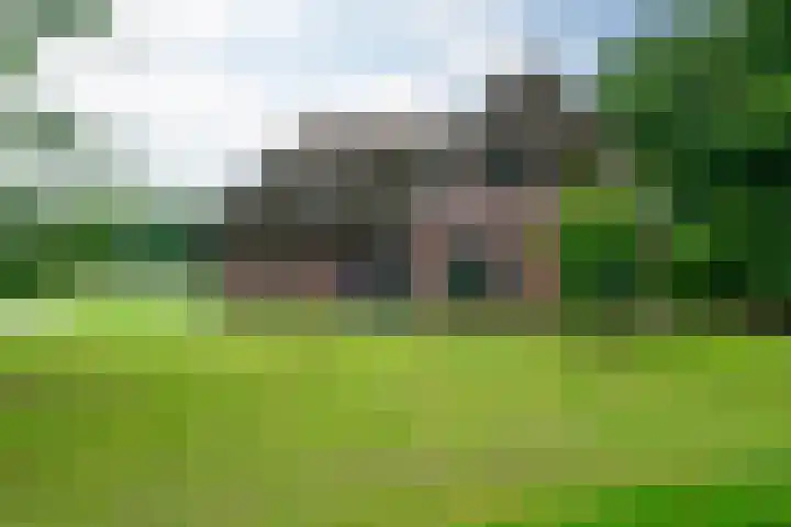 De Kapelle 19 Rinsumageast thumbnail 43