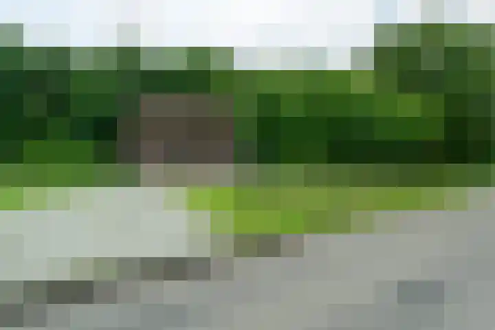 De Kapelle 19 Rinsumageast thumbnail 46