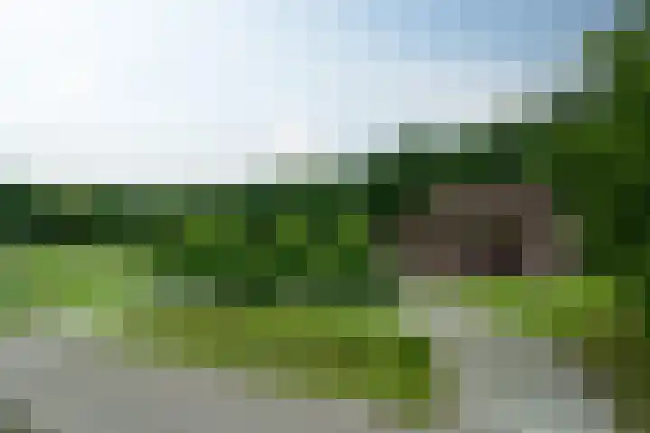 De Kapelle 19 Rinsumageast thumbnail 47