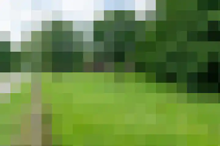 De Kapelle 19 Rinsumageast thumbnail 48