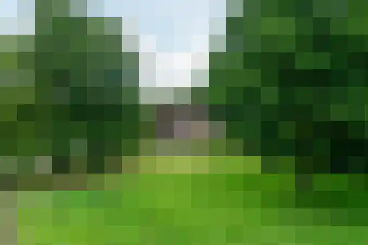 De Kapelle 19 Rinsumageast thumbnail 5