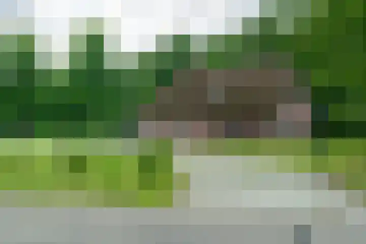 De Kapelle 19 Rinsumageast thumbnail 6