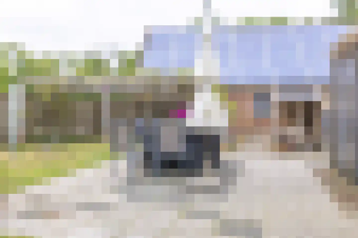 De Kapelle 7 Rinsumageast thumbnail 35