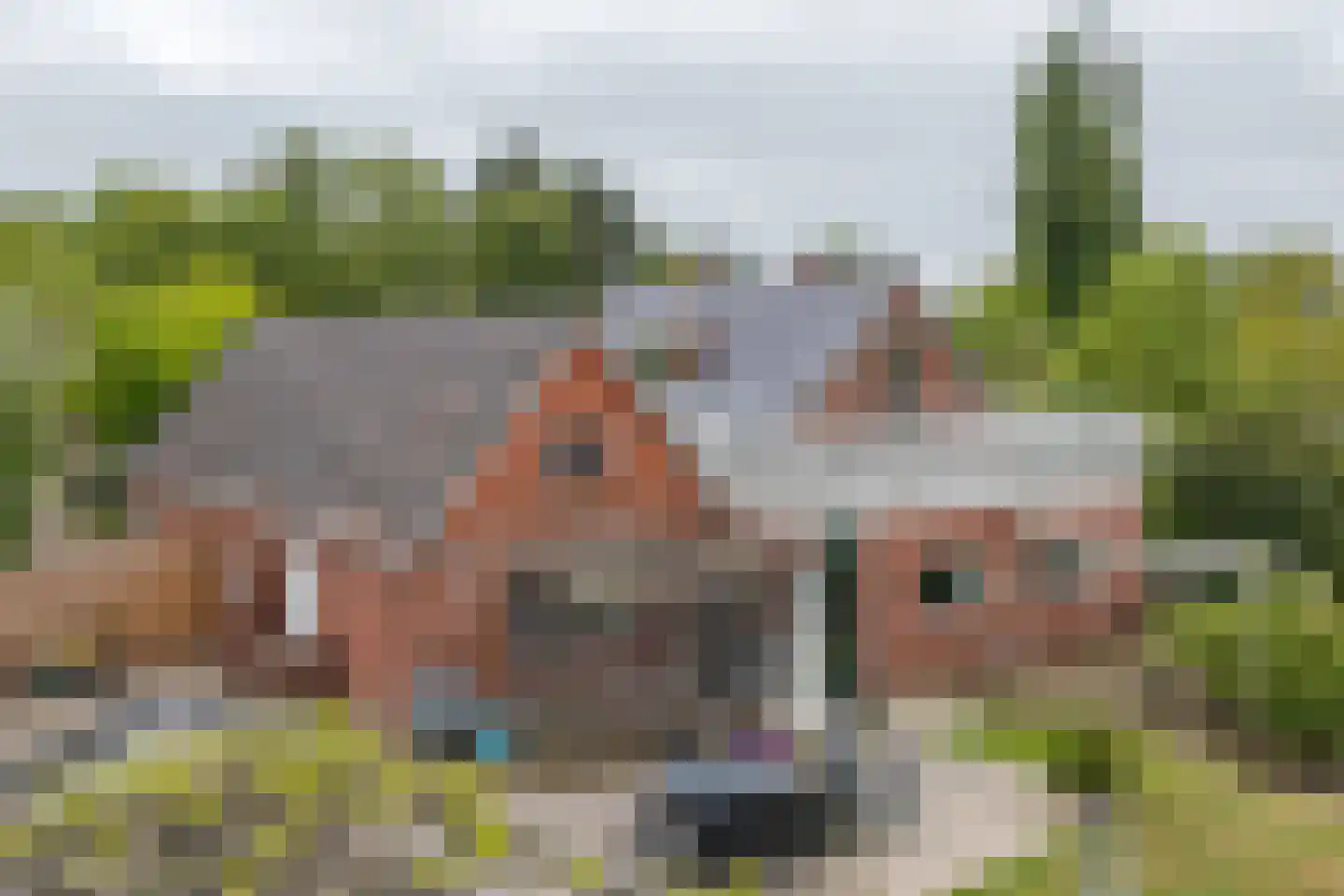 De Kapelle 7 Rinsumageast thumbnail 36
