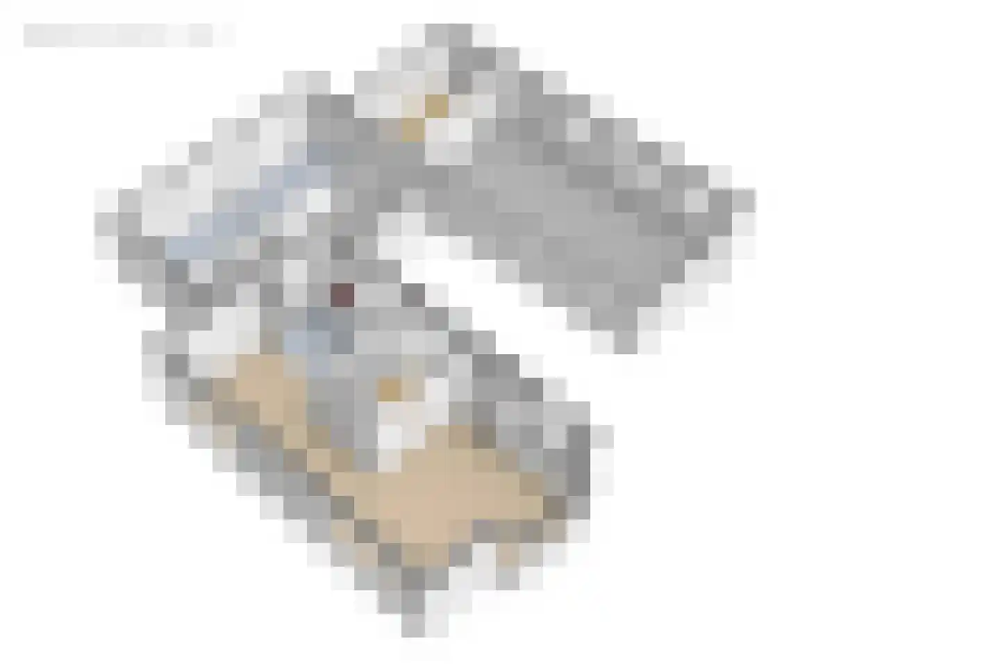 De Kapelle 7 Rinsumageast thumbnail 44
