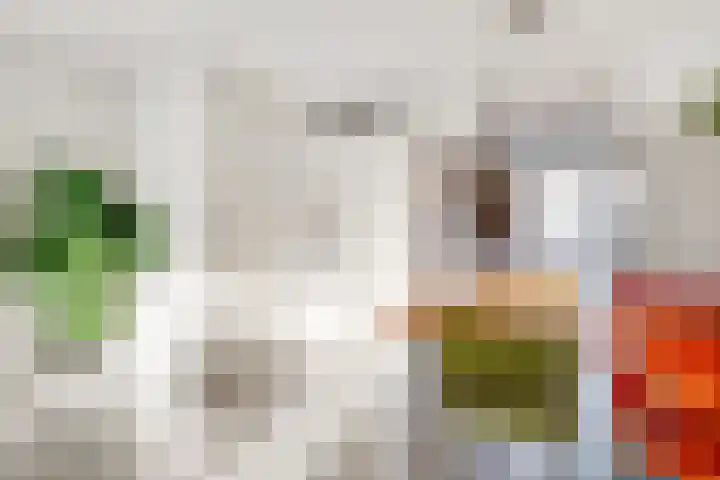 De Kapittel 3 Werkhoven thumbnail 15
