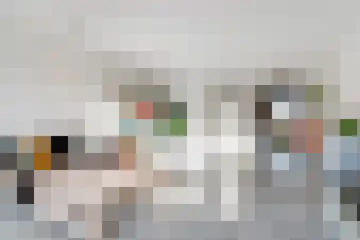 De Kapittel 3 Werkhoven thumbnail 17