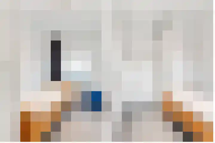 De Kapittel 3 Werkhoven thumbnail 34