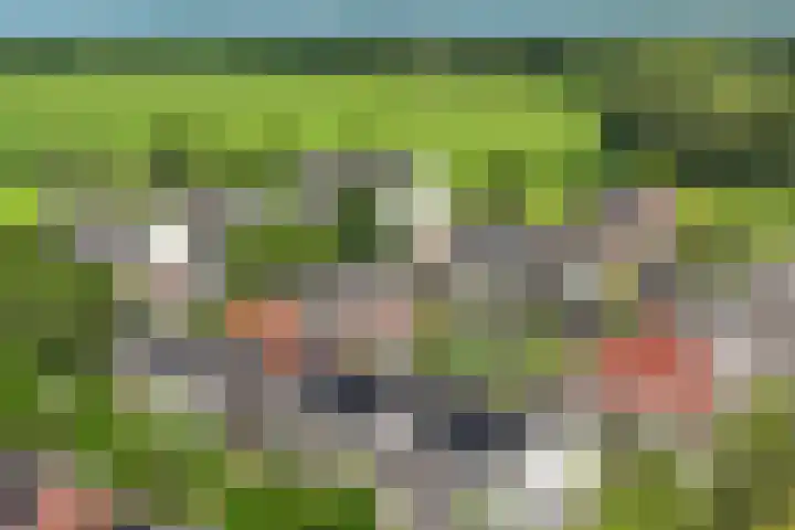 De Kapittel 3 Werkhoven thumbnail 47