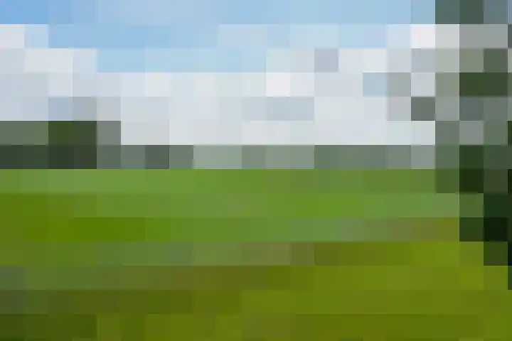 De Kapittel 3 Werkhoven thumbnail 48