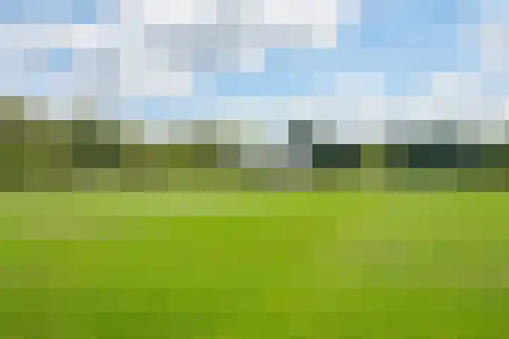 De Kapittel 3 Werkhoven thumbnail 49