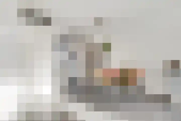 De Kapittel 3 Werkhoven thumbnail 9