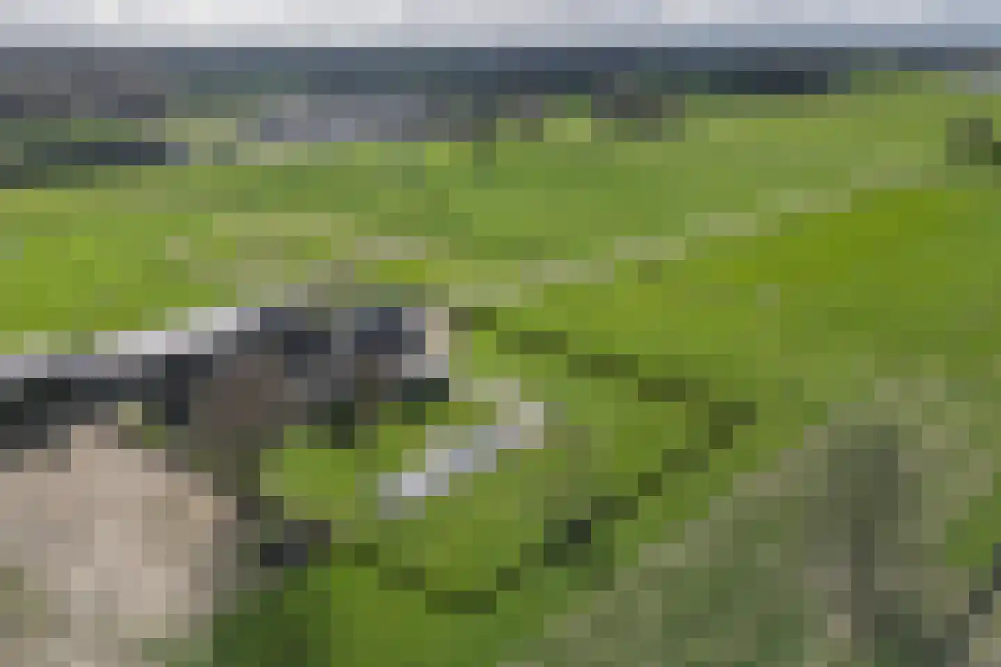 de Kar 9 A Klarenbeek foto 2