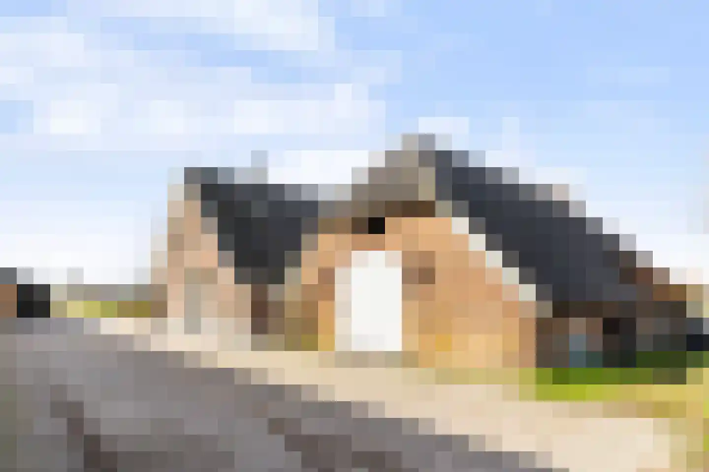 de Kar 9 A Klarenbeek thumbnail 25