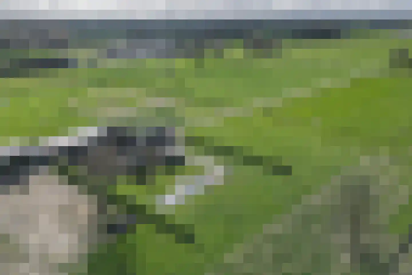 de Kar 9 A Klarenbeek thumbnail 28