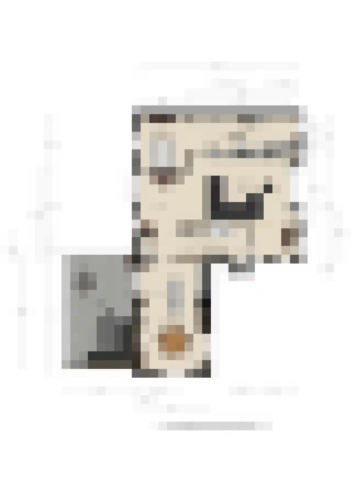 de Kar 9 A Klarenbeek thumbnail 29