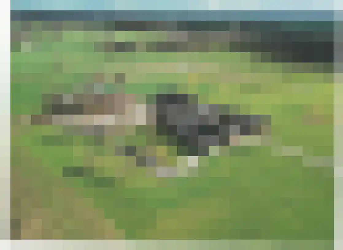de Kar 9 A Klarenbeek thumbnail 4
