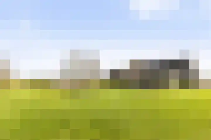de Kar 9 B Klarenbeek thumbnail 26