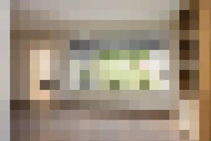 de Karekiet 14 Denekamp thumbnail 10