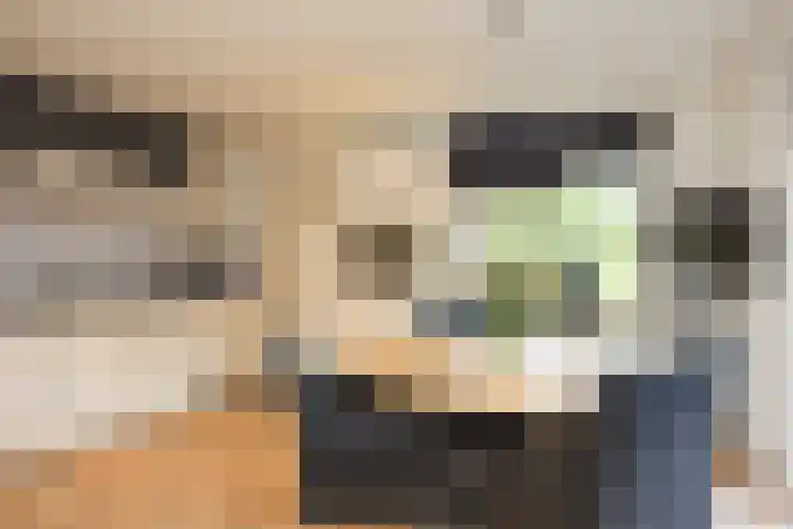 de Karekiet 14 Denekamp thumbnail 11