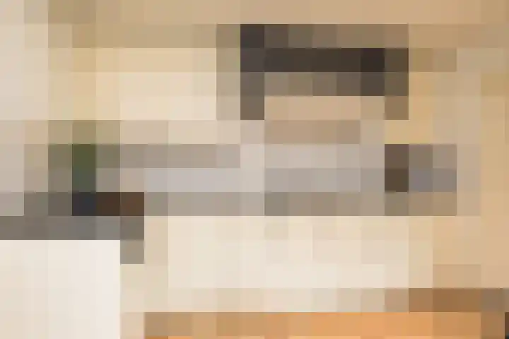de Karekiet 14 Denekamp thumbnail 12