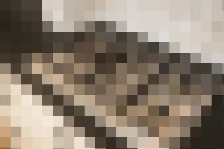 de Karekiet 14 Denekamp thumbnail 13
