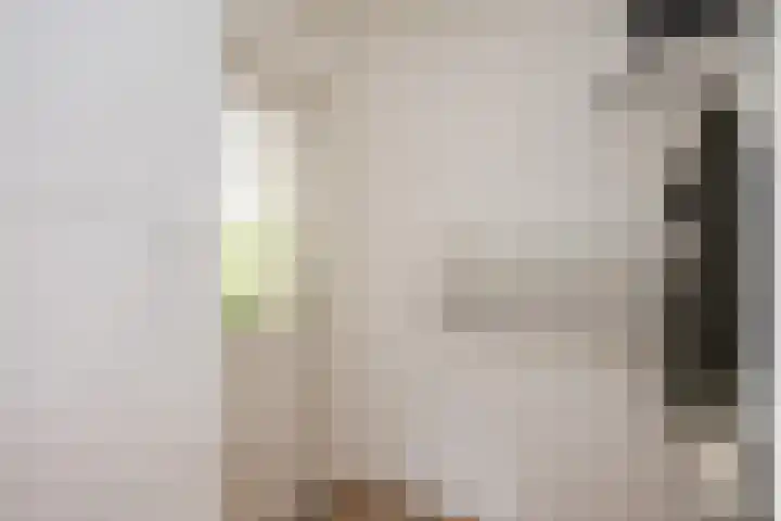 de Karekiet 14 Denekamp thumbnail 15