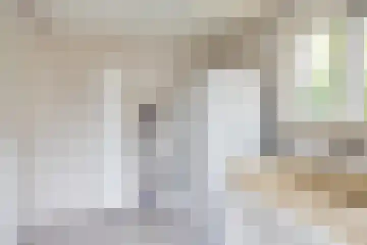 de Karekiet 14 Denekamp thumbnail 16