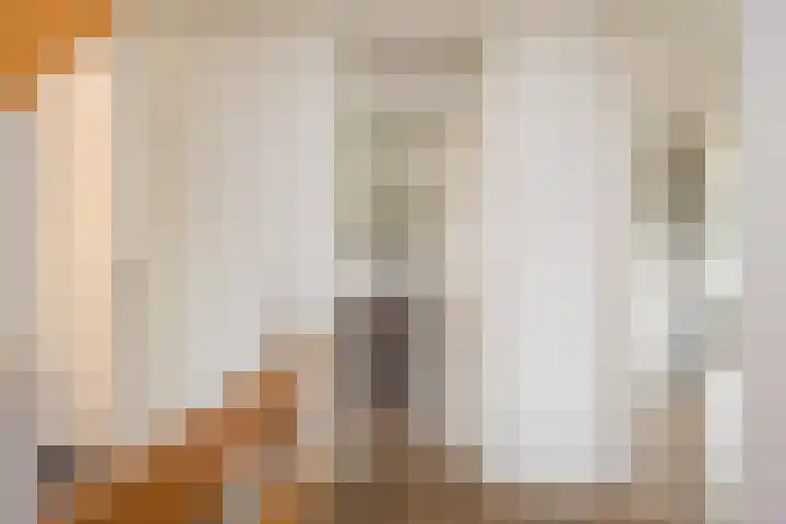 de Karekiet 14 Denekamp thumbnail 19