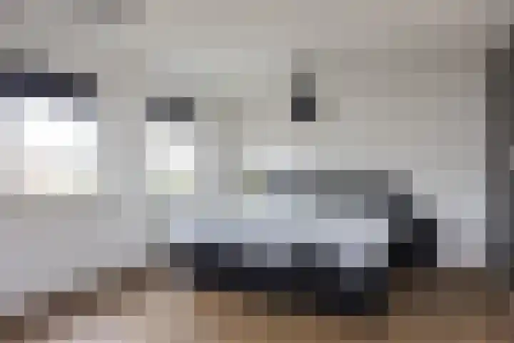 de Karekiet 14 Denekamp thumbnail 20
