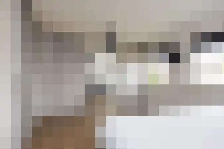 de Karekiet 14 Denekamp thumbnail 21