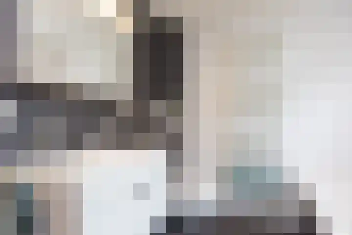 de Karekiet 14 Denekamp thumbnail 24