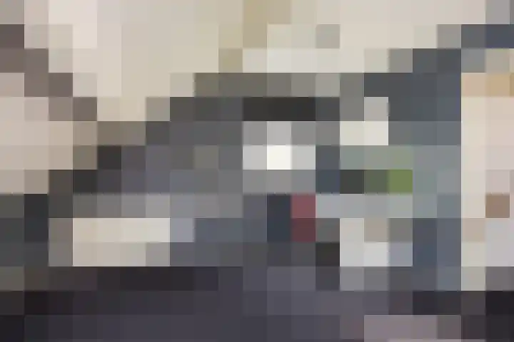 de Karekiet 14 Denekamp thumbnail 26