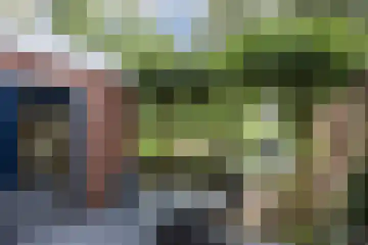 de Karekiet 14 Denekamp thumbnail 27