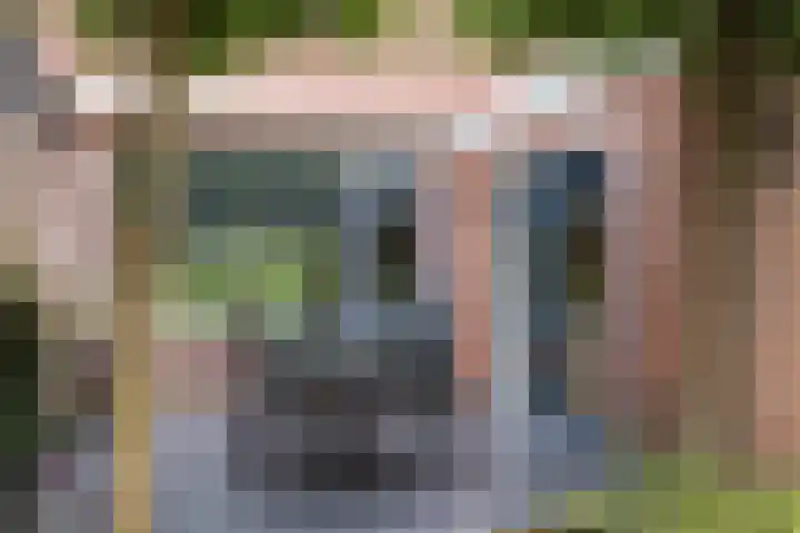 de Karekiet 14 Denekamp thumbnail 28